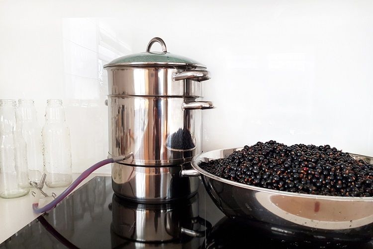 steam juicer recipes